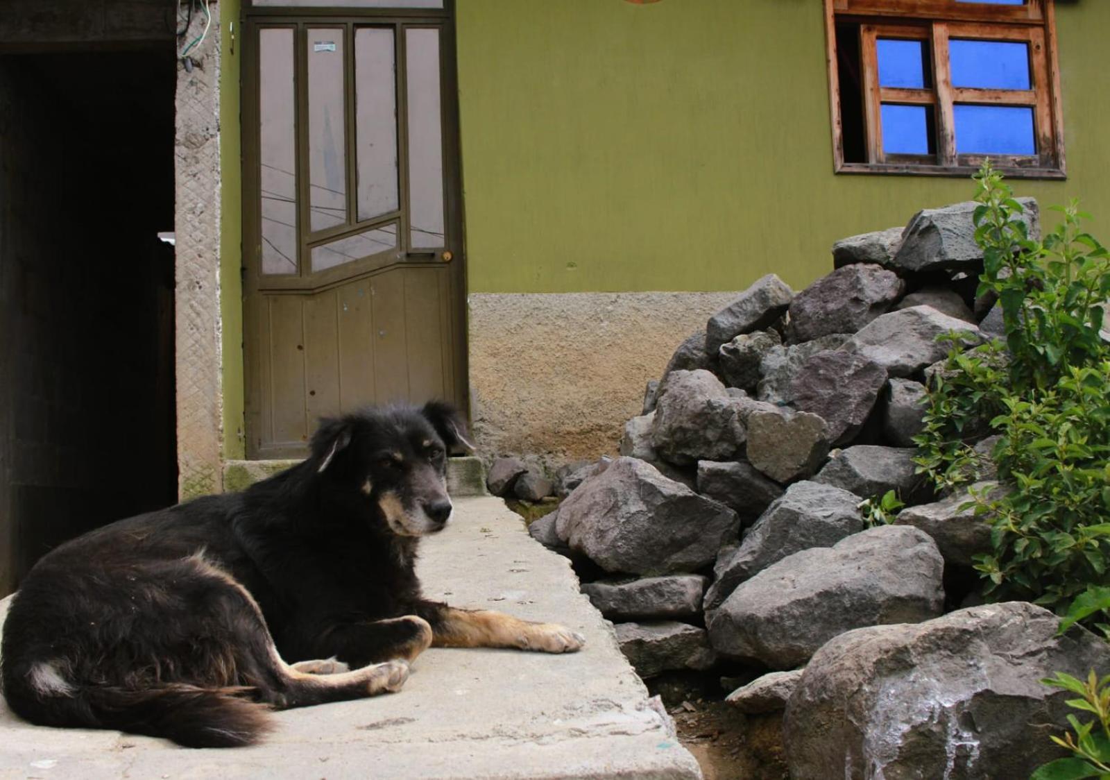 Séjour chez l'habitant Del Viajero - Mayan Travelers Santa Cruz La Laguna